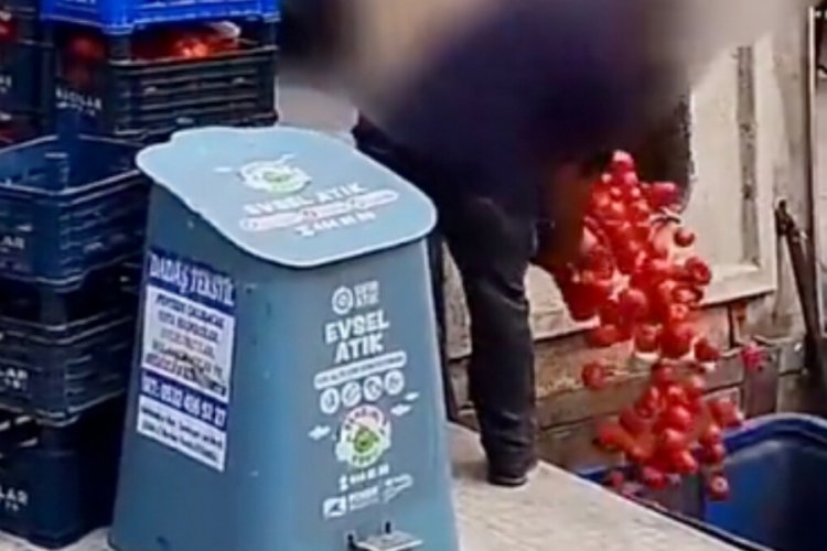 İstanbul'da market &ccedil;alışanları kasalarca domatesi &ccedil;&ouml;pe d&ouml;kt&uuml;