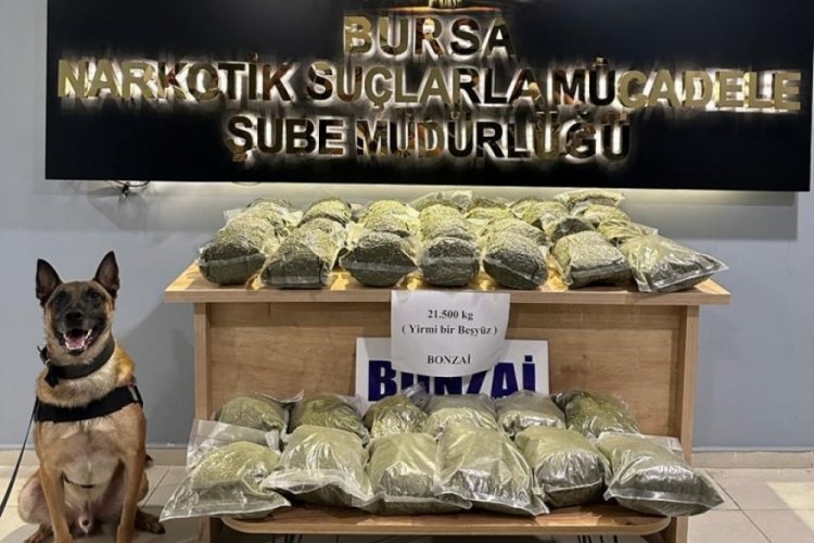 Bursa'da uyuşturucu operasyonu: 188 ş&uuml;pheli g&ouml;zaltına alındı