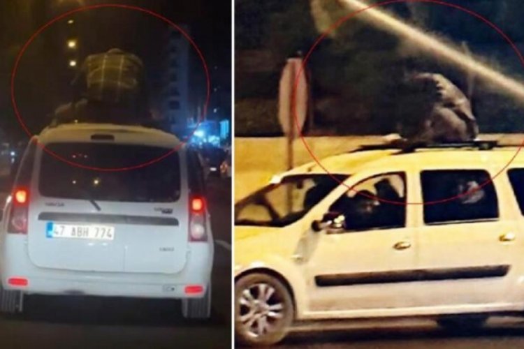 Aracın &uuml;zerinde seyahat etti!