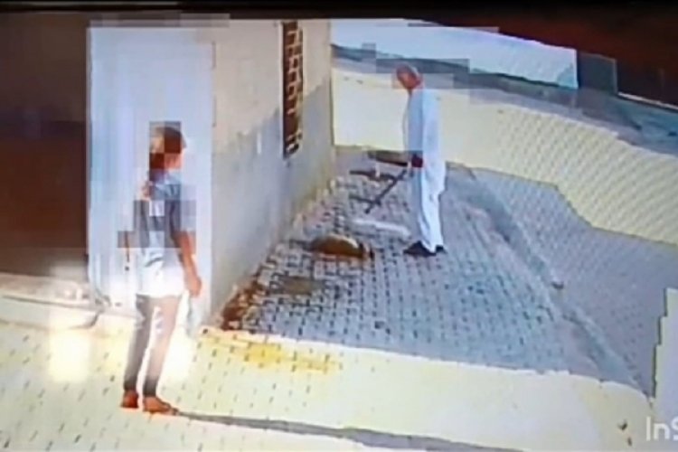 Mardin'de bir şahıs bastonuyla k&ouml;peğin kafasına defalarca vurdu!