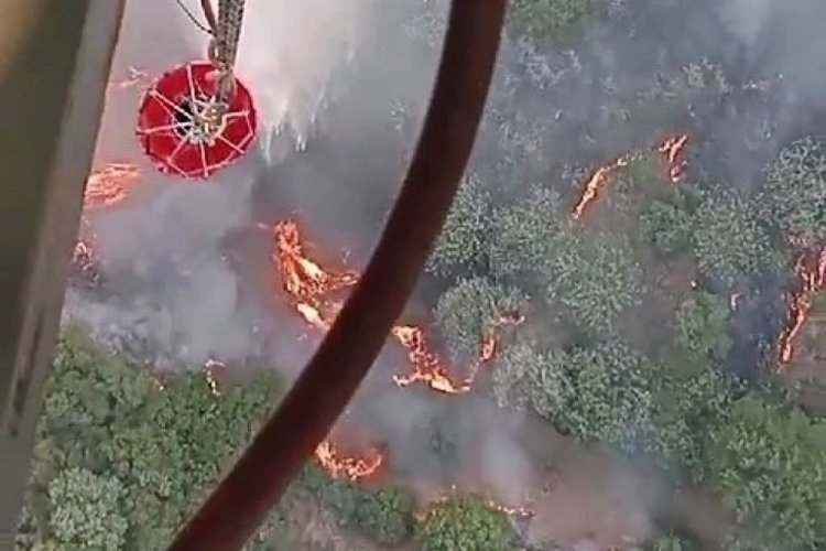 Manisa'da makilik alanda yangın &ccedil;ıktı