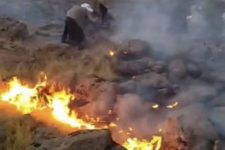 Şanlıurfa'da merada &ccedil;ıkan yangın k&ouml;yl&uuml;ler tarafından s&ouml;nd&uuml;r&uuml;ld&uuml;