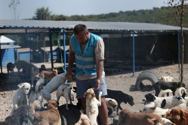 Pandemide satın alınan cins k&ouml;pekler kaderine terk edildi!