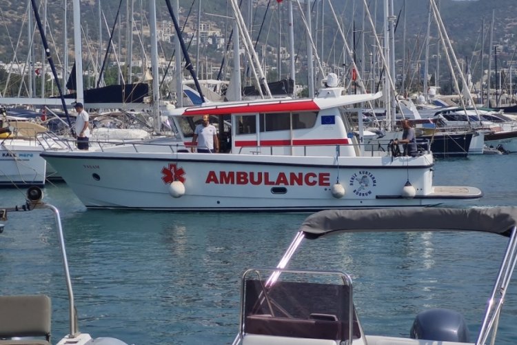Muğla'da arının soktuğu iş adamı hayatını kaybetti