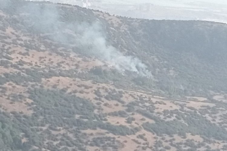 İzmir'de iki ayrı orman yangını kontrol altına alındı
