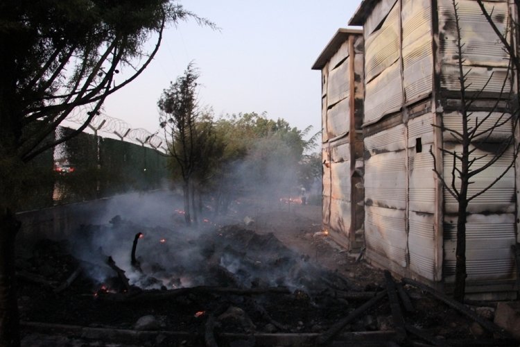 Kilis'te ormanlık alanda &ccedil;ıkan yangın s&ouml;nd&uuml;r&uuml;ld&uuml;