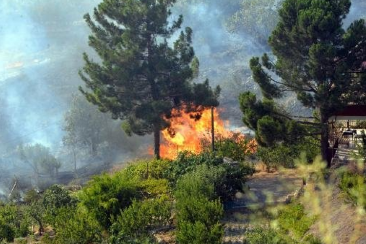 Kahramanmaraş'ta orman yangını kontrol altına alındı