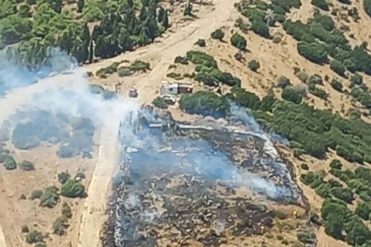 İzmir &Ccedil;iğli'de orman yangını