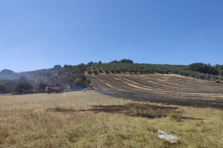 Bursa'da korkutan yangın