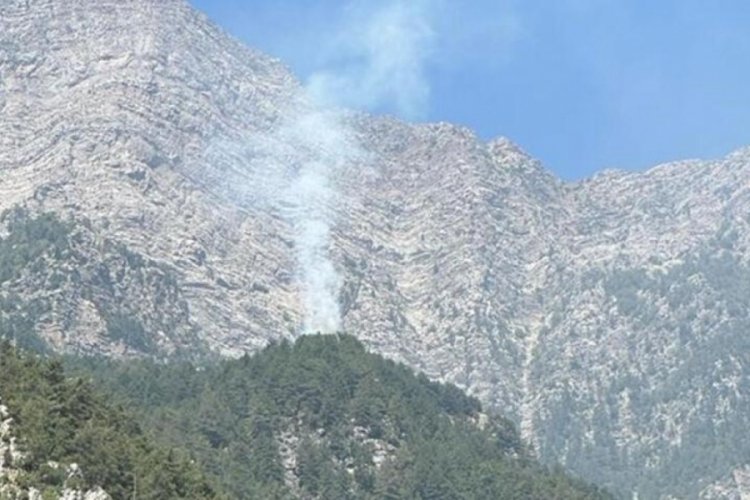 Osmaniye'de orman yangını