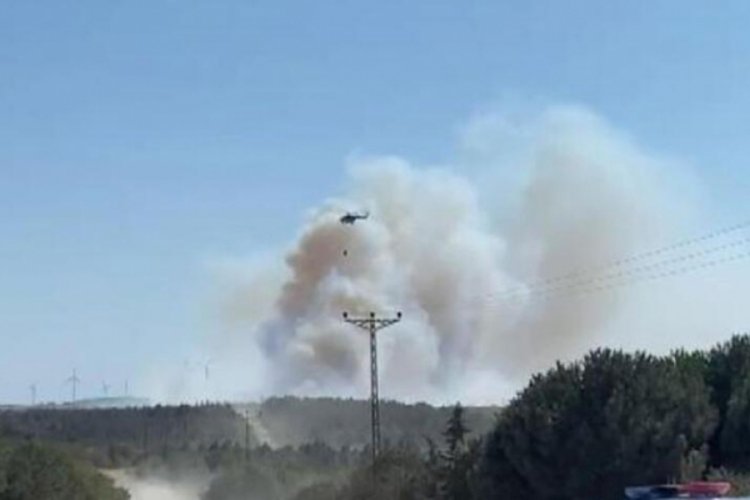 İstanbul' Silivri'de orman yangını!
