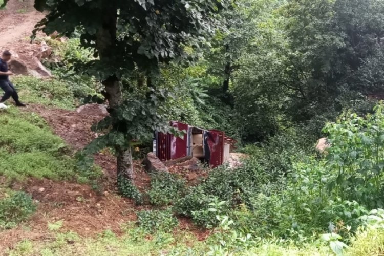 Artvin'de &ccedil;ay toplamaya gidenleri taşıyan kamyonet şarampole u&ccedil;tu
