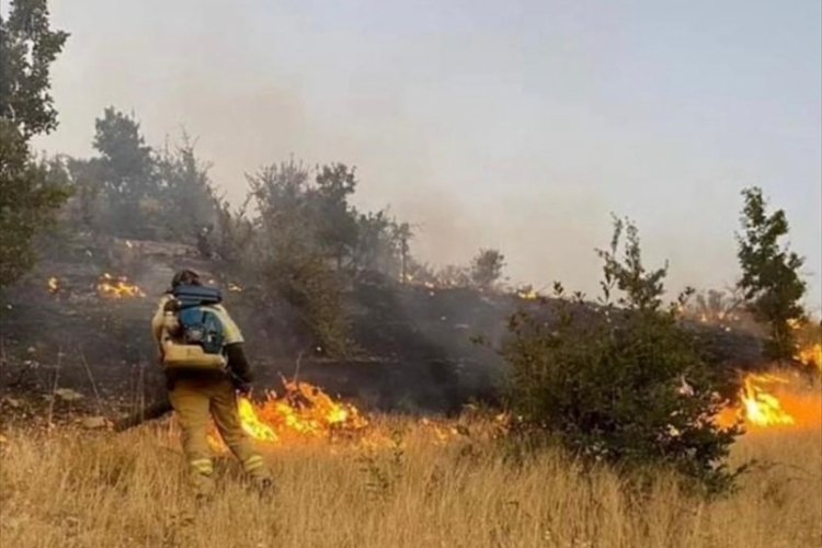 Şırnak'ta ormanlık alanda yangın