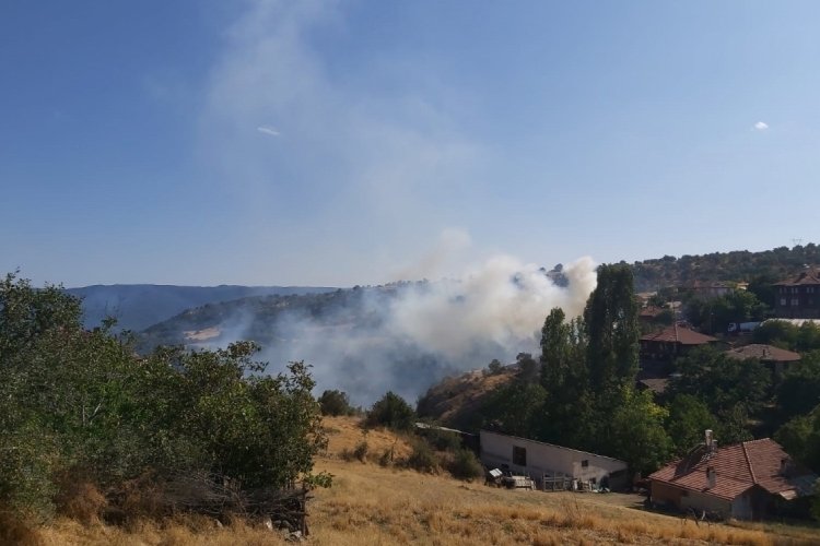 Bolu'da 3 farklı noktada yangın