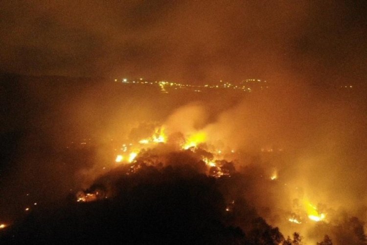 İstanbul Pendik'te korkutan orman yangını