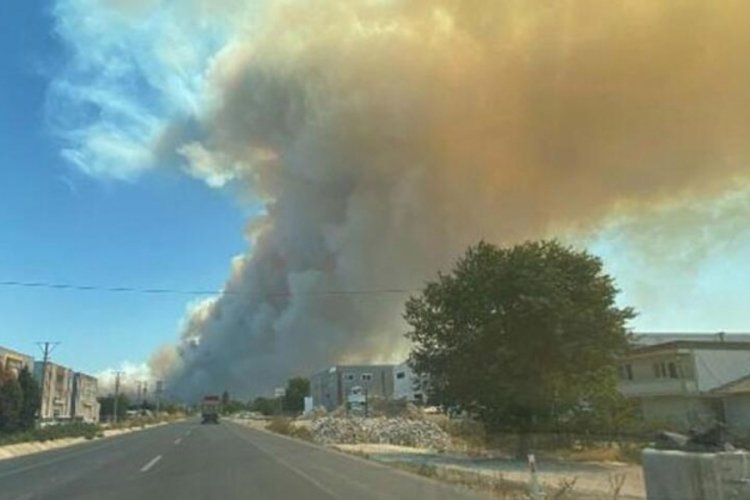 &Ccedil;anakkale'de orman yangını