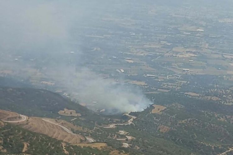 İzmir'deki orman yangın kontrol altına alındı
