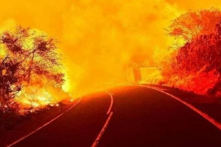 Tenerife'de orman yangınları nedeni ile 13 bin kişi tahliye edildi