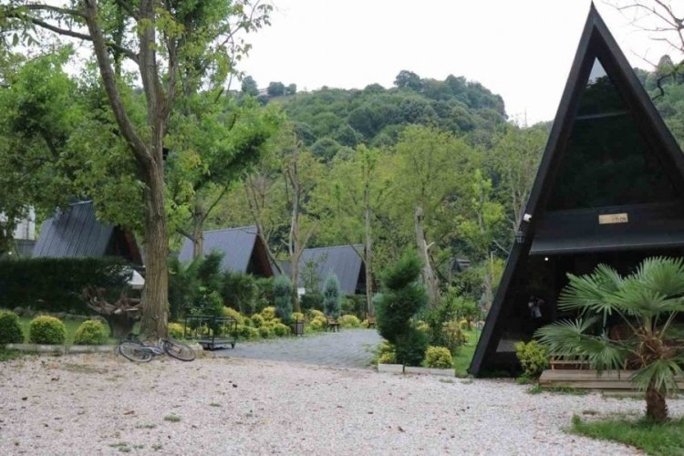Doğa ticarethaneye d&ouml;n&uuml;şt&uuml;! Sapanca'da 'bungalov' alarmı