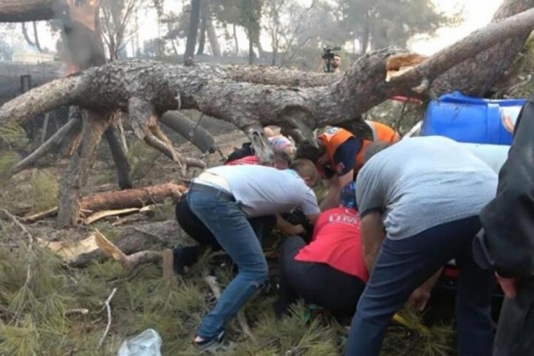 &Ccedil;anakkale'de orman yangınına m&uuml;dahale sırasında g&ouml;revlinin &uuml;zerine ağa&ccedil; devrildi