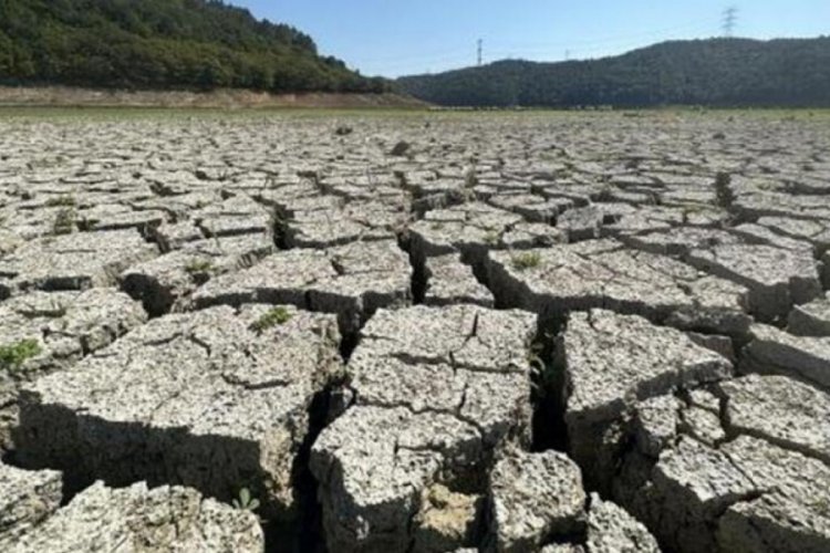 Kemerburgaz Kent Ormanı i&ccedil;erisindeki g&ouml;l kurudu