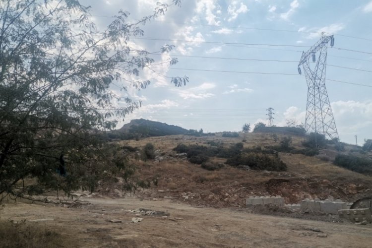 İzmir'de k&ouml;pekler tarafından kesik baş bulundu!