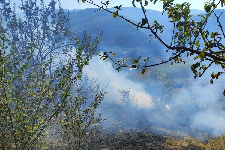 Sinop T&uuml;rkeli'de &ccedil;ıkan anız yangını korkuttu