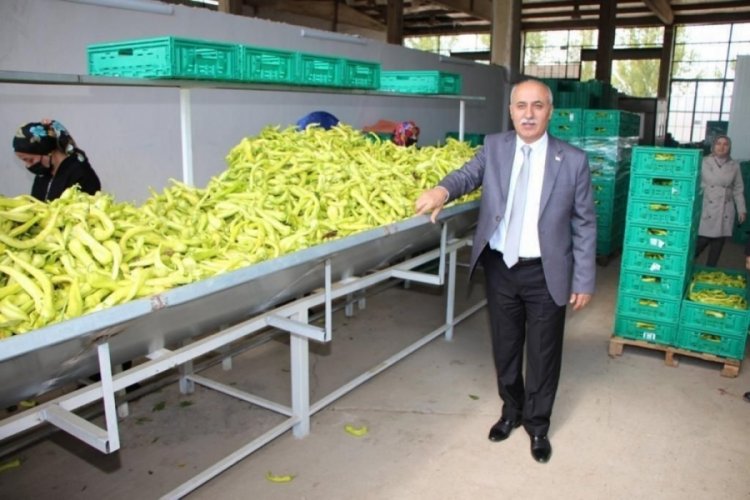 Bursa'da pazarda fiyatı &ccedil;ift&ccedil;i belirleyecek