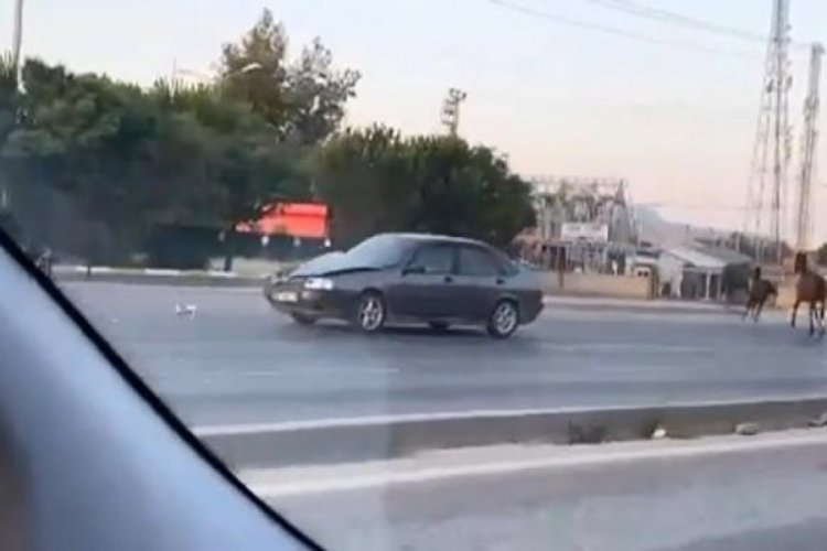 Bursa'da başıboş atlar otomobile &ccedil;arptı
