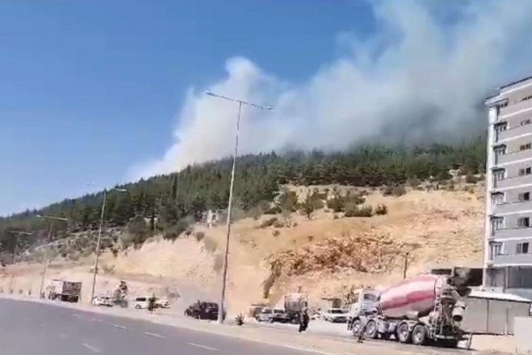 Kahramanmaraş'ta orman yangını &ccedil;ıktı