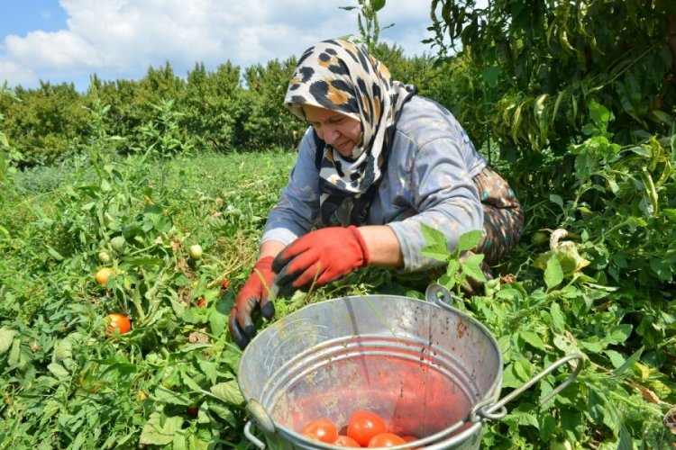 Bursa'da Yıldırım Belediyesi kadınları &uuml;retime dahil ediyor