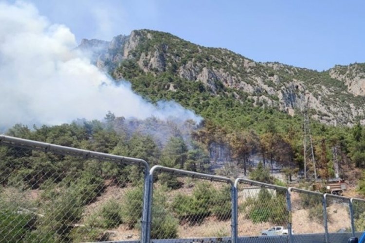 Bilecik'te orman yangını!