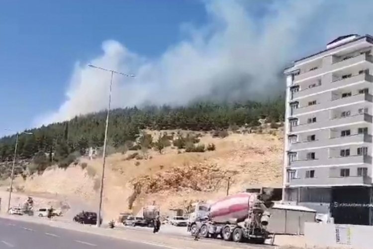 Kahramanmaraş'ta &ccedil;ıkan orman yangını kontrol altında