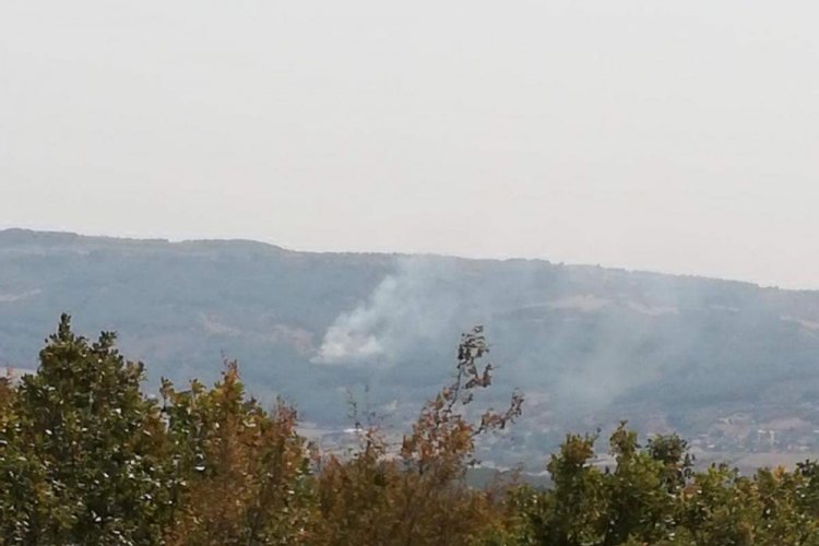 Tekirdağ'da orman yangını &ccedil;ıktı! 2 saatte s&ouml;nd&uuml;r&uuml;ld&uuml;