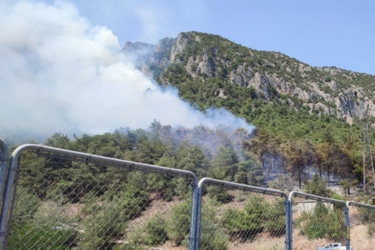 Bilecik'te orman yangını!&nbsp;Bursa&nbsp;Orman B&ouml;lge M&uuml;d&uuml;rl&uuml;ğ&uuml; ekipleri sevk edildi