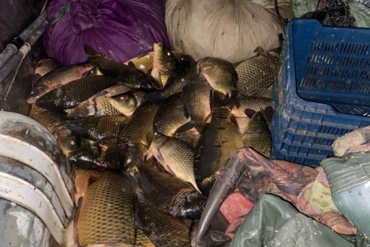 Kastamonu'da ka&ccedil;ak balık avcılarına su&ccedil;&uuml;st&uuml; baskın