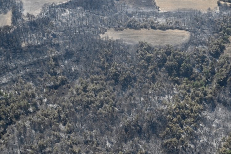 &Ccedil;anakkale'deki orman yangını havadan g&ouml;r&uuml;nt&uuml;lendi