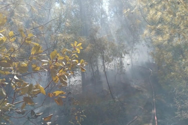 Hatay'da orman yangını b&uuml;y&uuml;meden s&ouml;nd&uuml;r&uuml;ld&uuml;
