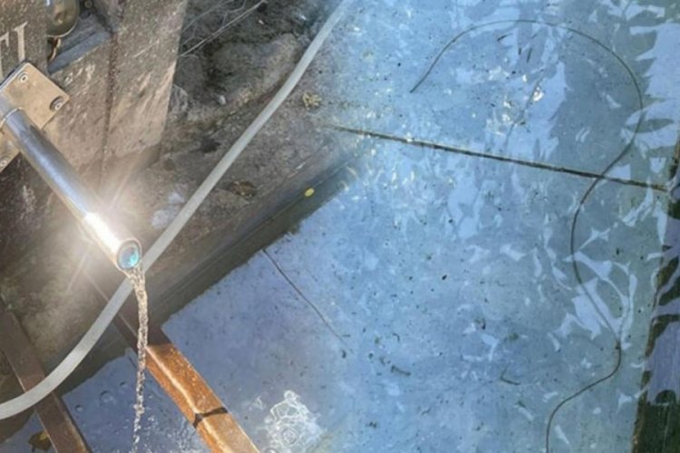 Artvin'de g&ouml;r&uuml;len canlı şaşkına &ccedil;evirdi! Ne başı belli ne sonu