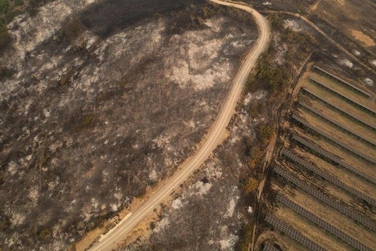 Yunanistan'da ormanları kundakladığı &ouml;ne s&uuml;r&uuml;len 140 kişi g&ouml;zaltında