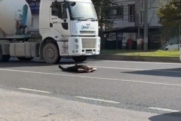 Bursa'da ilgin&ccedil; anlar! Ana yola boylu boyunca uzandı