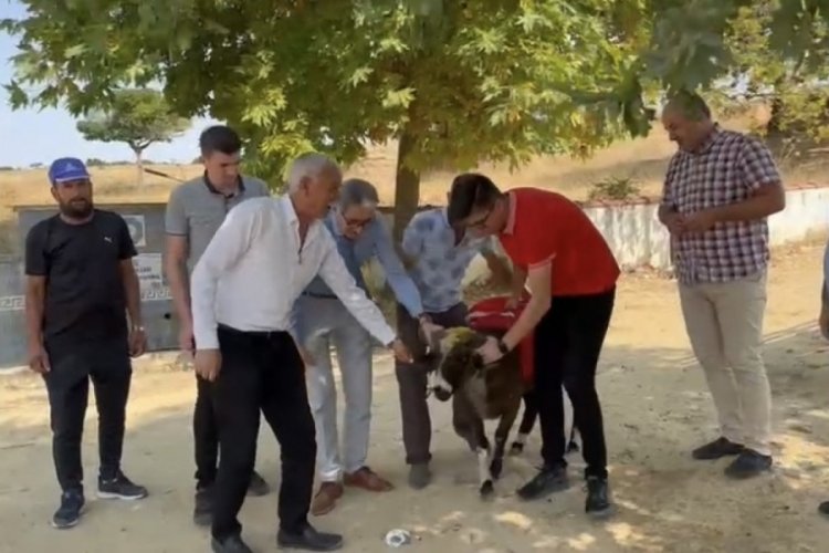 Cumhurbaşkanı Erdoğan i&ccedil;in adak kestiler