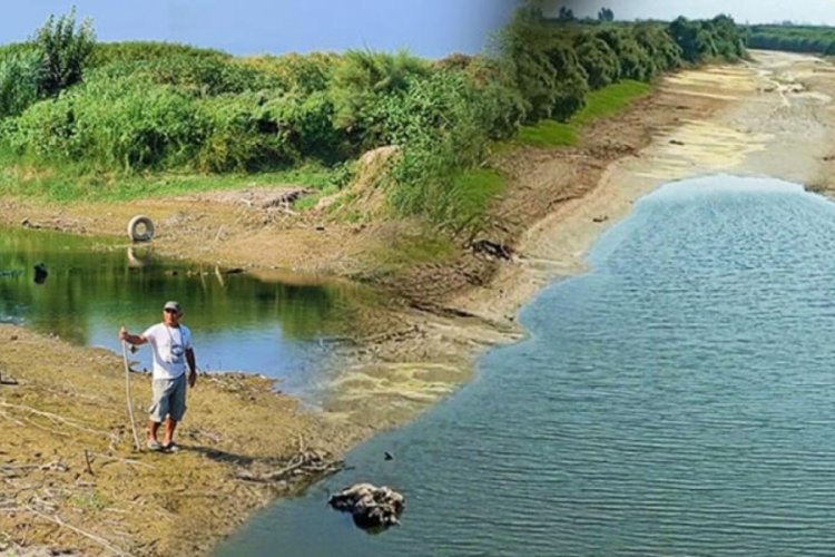 B&uuml;y&uuml;k Menderes kurudu, y&uuml;zlerce balık &ouml;lmeye başladı
