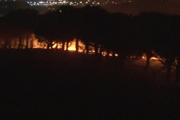 İstanbul Maltepe'de &ccedil;ıkan orman yangını kontrol altına alındı