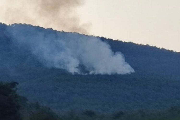 İzmir'de yıldırımın ormana isabet etmesi sonucu yangın &ccedil;ıktı!