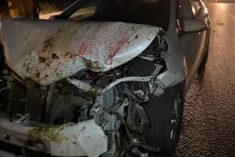Adana'da otomobil koyun s&uuml;r&uuml;s&uuml;ne &ccedil;arptı