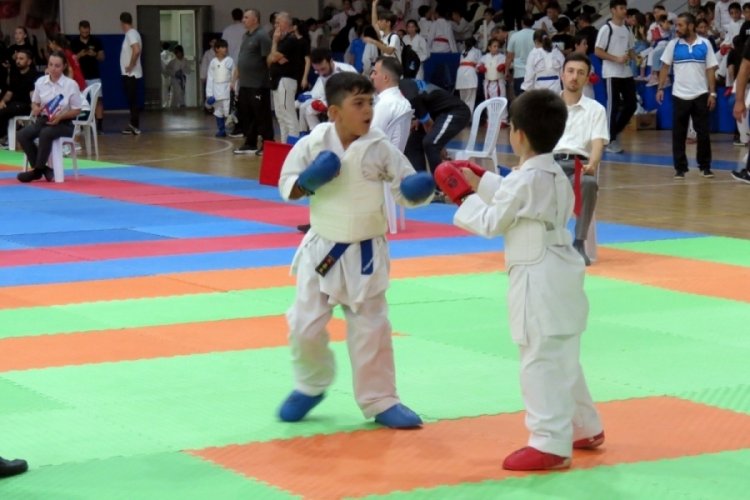 30 Ağustos Zafer Kupası Bursa Karate İl Şampiyonası Mudanya'da yapıldı