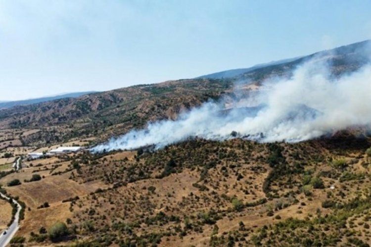 &Ccedil;ankırı'da orman yangını