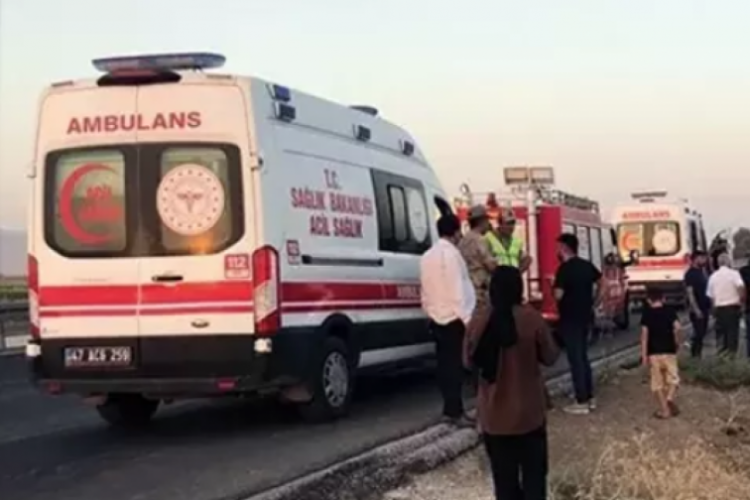 Mardin'de kontrolden &ccedil;ıkan ara&ccedil; şarampole devrildi
