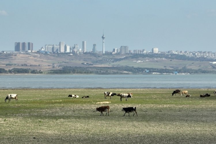 İstanbul'un barajlarındaki su seviyesi y&uuml;zde 30'un altına d&uuml;şt&uuml;